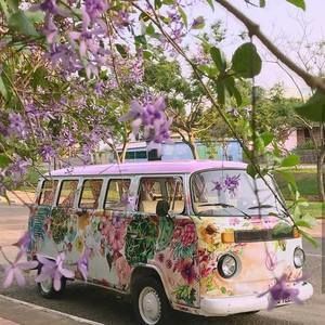 Meet your Posher, Cher